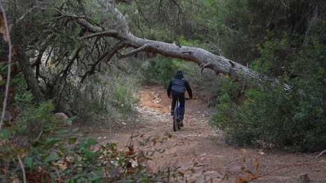 cyclist-rides-through-a-forested-rocky-trail-with-fallen-trees
