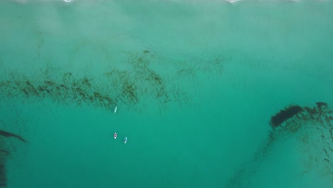 drone-view-of-Women-paddleboarding-on-the-clear-emerald-gulf-of-Mexico-on-a-bright-sunny-day