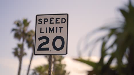 Speed-Limit-20-with-Palm-Trees-and-Sunset