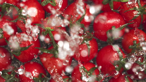 Slow-motion-of-red-cherry-tomatos-falling-and-splashing-on-water-surface