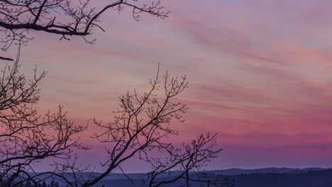Time-lapse-shot-of-leafless-trees-in-front-of-red-colored-sunset-sky-in-rural-area