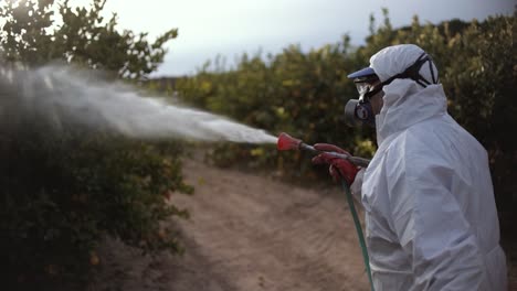 Landwirt-Sprüht-Insektizide,-Pestizide,-Pestizide-Oder-Insektizide,-Die-Auf-Landwirtschaftlichen-Feldern-Von-Zitronenbäumen-In-Spanien-Sprühen