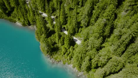 Aerial-drone-shot-of-the-blue-river-going-to-a-pine-forest,-Lago-di-Braies,-Italy,-Dolomites