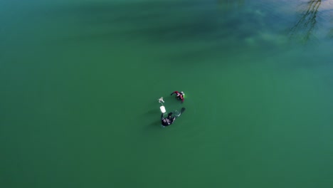 Aerial-view-of-two-divers-swimming-in-murky-water-in-a-lake-in-southern-France-in-the-middle-of-winter