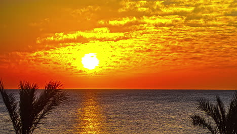 Zeitraffer-Eines-Farbenfrohen-Sonnenaufgangs-über-Einem-Ruhigen-Meer-Und-Palmen-An-Einem-Bewölkten-Tag
