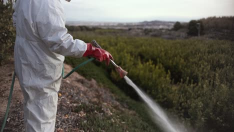 Granjero-Rocíe-Insecticida,-Pesticida,-Pesticidas-O-Insecticidas-Rociando-En-Limoneros-Campo-Agrícola-En-España