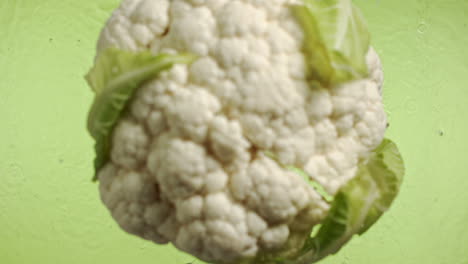 Slow-motion-of-cauliflower-falling-into-water-surface-on-green-background