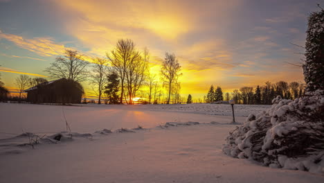 Yellow-colored-sky-by-a-sunrise-between-clouds-and-trees-in-winter