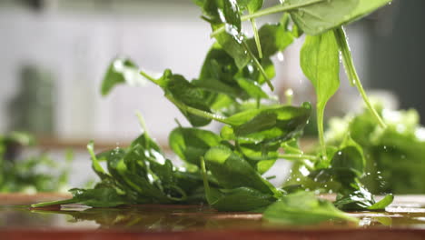 Slow-motion-of-fresh-baby-spinach-falling-on-wet-wooden-board-in-a-kitchen