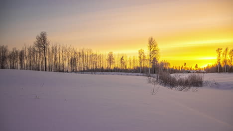 Colorful-sunset-behind-the-trees-in-a-winter-landscape