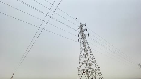 Un-Pájaro-Vuela-Sobre-Una-Línea-Eléctrica-De-Alto-Voltaje-Contra-Un-Cielo-Azul,-Capturando-La-Belleza-Y-El-Peligro-De-La-Infraestructura-Eléctrica