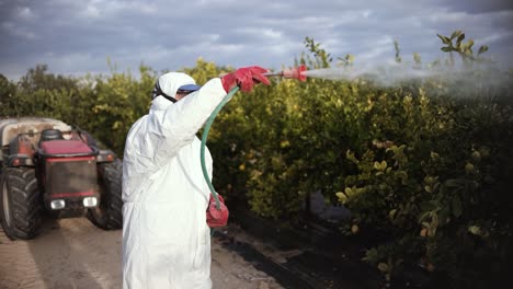 Farmer-spray-insecticide,-pesticide,-pesticides-or-insecticides-spraying-on-lemon-trees-agricultural-field-in-Spain