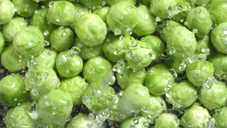 Slow-motion-of-fresh-brussels-sprouts-falling-and-splashing-on-water-surface