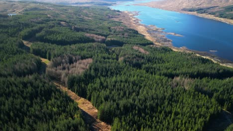 High-altitude-flight-over-pine-forest-towards-Loch-Loyne-in-Scottish-Highlands
