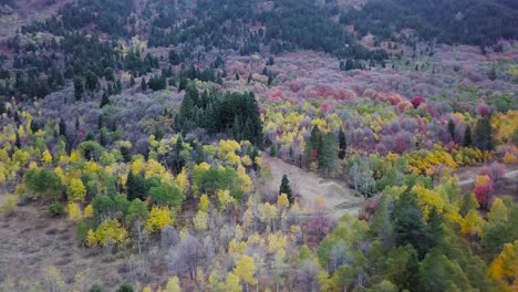 Luftaufnahme-Der-Blauen-Stunde-über-Espen-Und-Immergrünem-Wald-Im-Schneebecken-Von-Utah-–-Schwenkneigung-Aus-Der-Luft