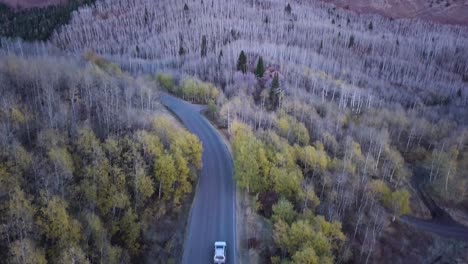 Schneebecken,-Utah,-Ende-Der-Saison,-Sterbende-Espenbäume-Nach-Sonnenuntergang,-Blaue-Stunde-–-Luftaufnahme,-Neigung