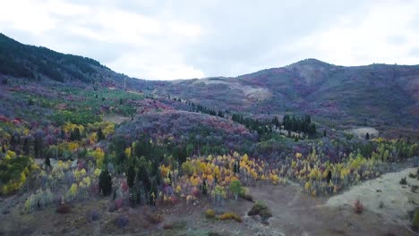 Blaue-Stunde-über-Sumpfland-Im-Snow-Basin-Utah-Mit-Espen-Und-Immergrünen-Pflanzen-Im-Hintergrund---Dolly-Neigung-Aus-Der-Luft