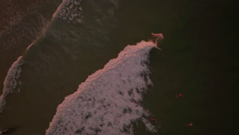 Snapper-Rocks-4k-sunset-drone-footage