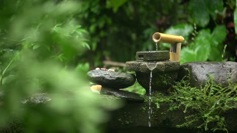 Asian-fountain-made-of-stone-and-bamboo-with-stream-of-water-flowing-out-and-down,-filmed-in-natural-environment-as-medium-close-up-shot