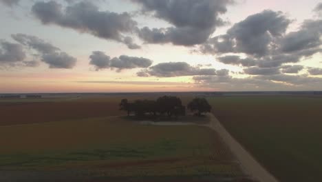 Eine-Baumgruppe-Inmitten-Südlicher-Bauernfelder-Bei-Sonnenaufgang