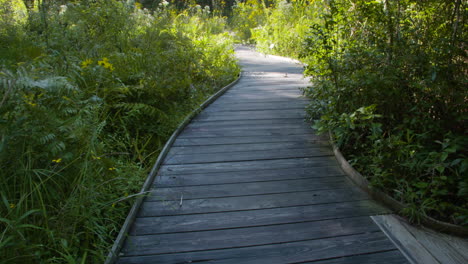 Wooden-bridge-through-a-garden,-tilting-up