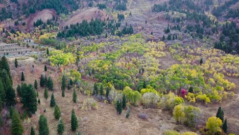Bosque-Siempre-Verde-Y-álamo-Temblón-Durante-La-Hora-Azul-En-La-Cuenca-De-Nieve-Utah---Inclinación-De-Elevación-Aérea