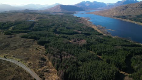 Vuelo-De-Gran-Altitud-Sobre-Un-Bosque-De-Pinos-Junto-A-Loch-Loyne-Scottish-Highlands