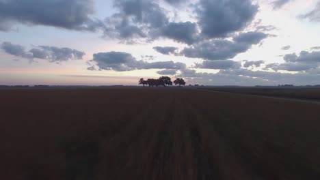 Bei-Sonnenaufgang-über-Einem-Grasfeld-In-Richtung-Einer-Baumgruppe-Auf-Den-Südlichen-Feldern-Fliegen