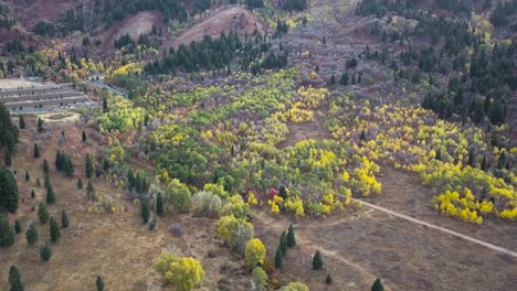 Wunderschöner-Goldener-Espen--Und-Immergrüner-Wald-Im-Snow-Basin-Utah-4k---Rückzugsneigung-Aus-Der-Luft