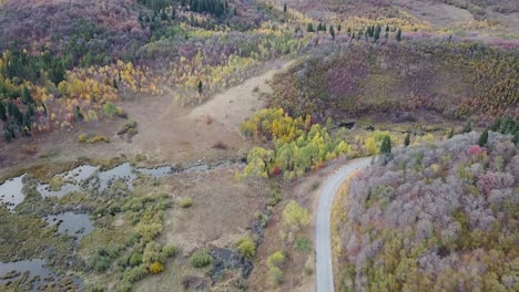 evergreen-and-golden-aspen-forest-next-to-a-main-road-and-marshy-land-in-snow-basin-utah---AERIAL-PULLBACK-TILT