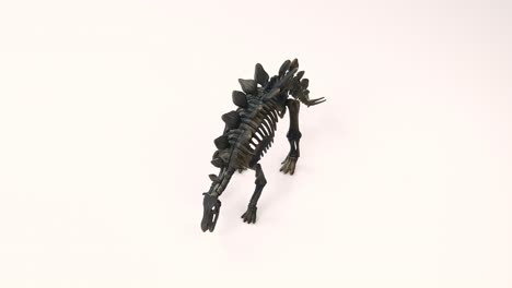 Stegosaurus-Skelett-Auf-Weißem-Hintergrund-4k