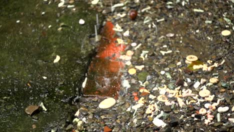 Rain-drops-splashing-violently-over-broken-pavement-with-red-brick-and-pebble