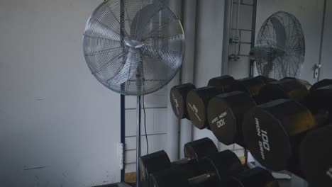 Lifting-Dumbbells-on-Weight-Rack-near-Gym-Fan-in-4K