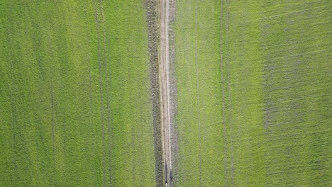 Aerial-view-flying-over-tourists-walking-farmland-trail-towards-Pitstone-windmill-in-Buckinghamshire-National-trust-countryside