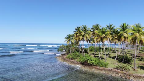 Ein-Panoramablick,-Ein-Großer-Kokosnussbaum-Und-Die-Meeresküste-Mit-Sanften-Wellen