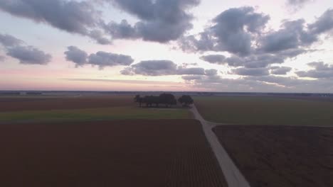 Eine-Baumgruppe-Inmitten-Südlicher-Bauernfelder-Bei-Sonnenaufgang