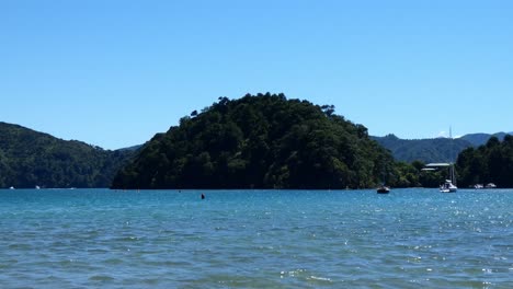 Kayakers-paddle-towards-shore-in-front-of-small-hill-covered-in-dense-vegetation-on-a-beautiful-summer's-day---Ngakuta-Bay,-Marlborough-Sounds