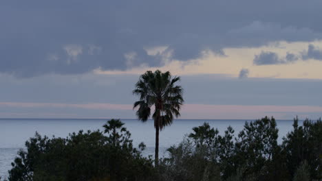 Orangefarbener-Sonnenuntergang-Und-Rollende-Wolken-Hinter-Einer-Palme-Und-Dem-Meer-In-Malibu,-Kalifornien