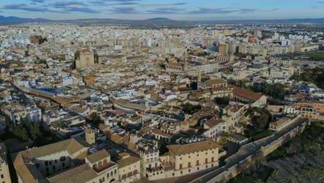 Palma-view-forward--with-drone