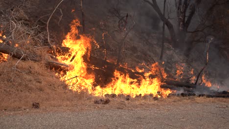 flames-run-up-hillside-during-brush-fire