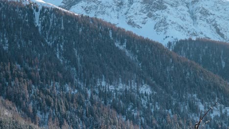 Vista-De-árboles-Y-Montañas-Cubiertas-De-Nieve-En-Un-Soleado-Día-De-Invierno-En-Suiza
