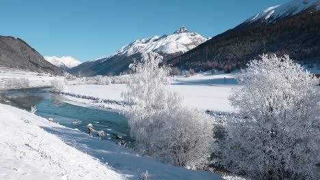 View-of-a-river-and-frozen-trees-during-winter-and-a-snow-covered-landscape-with-mountains-in-Switzerland
