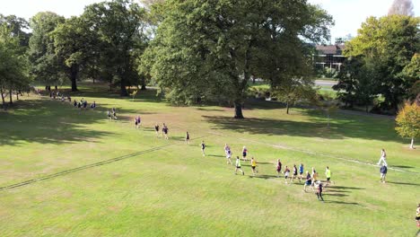 Aerial-view-of-runners-competing-in-cross-country-race-on-a-beautiful-autumn-day---Hagley-Park,-Christchurch