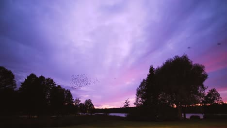 Flock-of-Birds-Flying-Across-Sky-at-Sunset-Along-Water