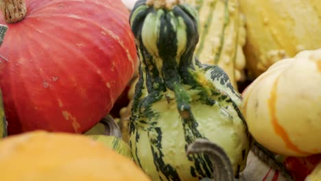Pumpkin-and-gourd-variety-in-a-fall-display,-slow-motion-pan