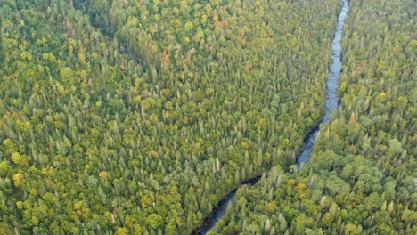 Drone-footage-flying-towards-a-straight-stretch-in-a-forest-stream
