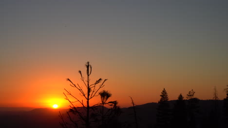 4k-Wunderschöner-Sonnenuntergang-In-Den-Wäldern-Des-Yosemite-Nationalparks,-Kalifornien