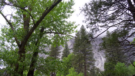 Caminando-Por-El-Valle-De-Yosemite-Durante-El-Día