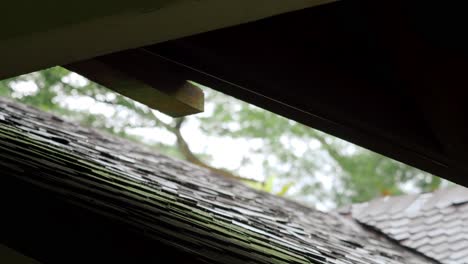Regenwasser-Tropft-Auf-Das-Dach