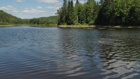 Child-swimming-in-a-lake-in-a-forest
